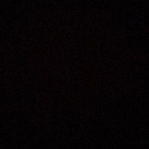 Meet your Posher, Evie